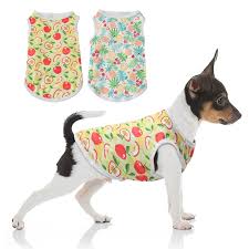 Pack de 2 Camisetas para Perros