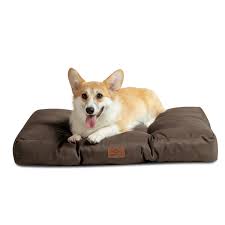 Cama Perro Impermeable Mediana 76x50 cm