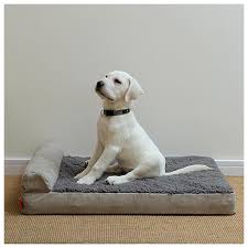 Cama de Espuma para Perros Grandes