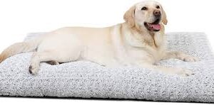 Cama Antiestrés para Perro Grande 90x60cm - KSIIA
