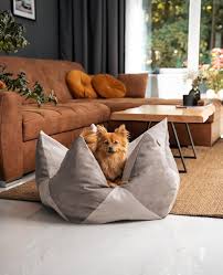 Colchón para Mascotas en Forma de Corona o Estrella - 85x45 cm